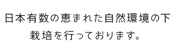 日本有数の恵まれた自然環境の下
栽培を行っております。