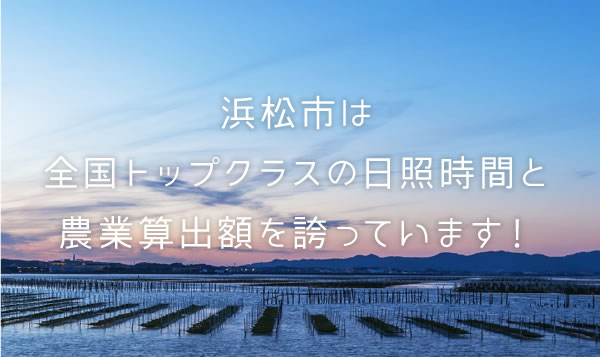 浜松市は
全国トップクラスの日照時間と
農業算出額を誇っています！