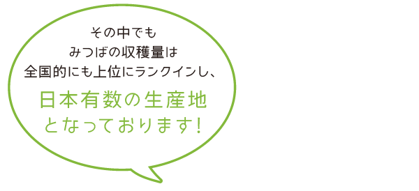 日本有数の生産地
となっております!