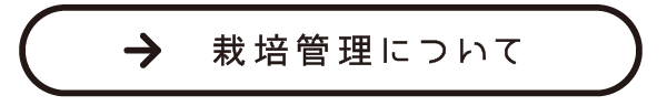 栽培管理について