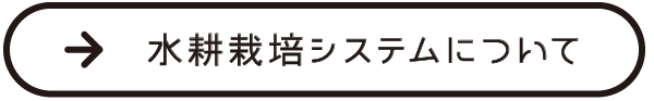 水耕栽培システムについて