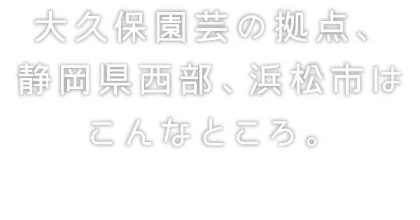 大久保園芸の
みつばの拠点、
静岡県西部、浜松市は
こんなところ。