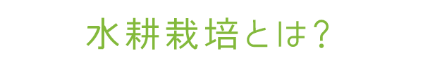 水耕栽培とは?