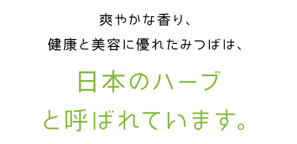 日本のハーブ
と呼ばれています。